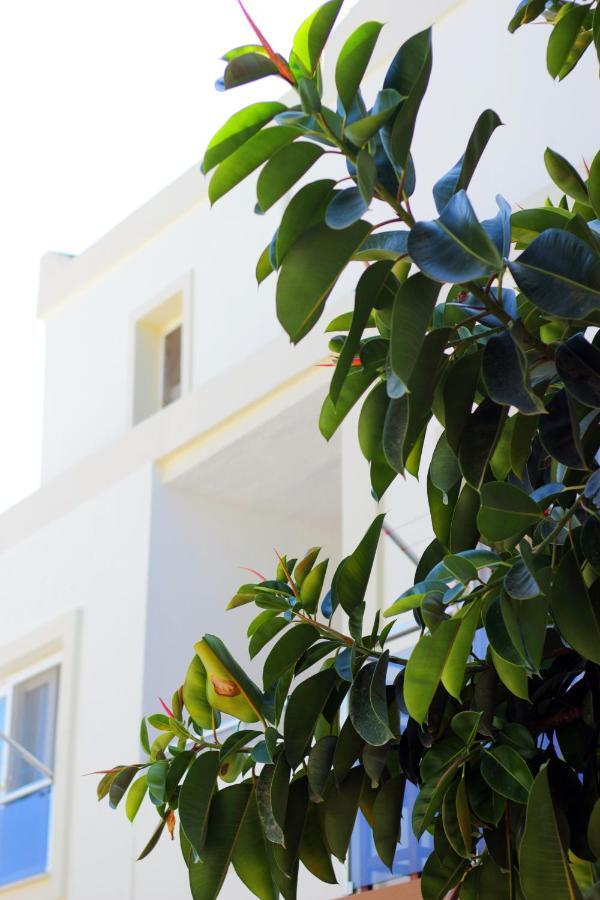 Acelya Otel Bodrum Zewnętrze zdjęcie