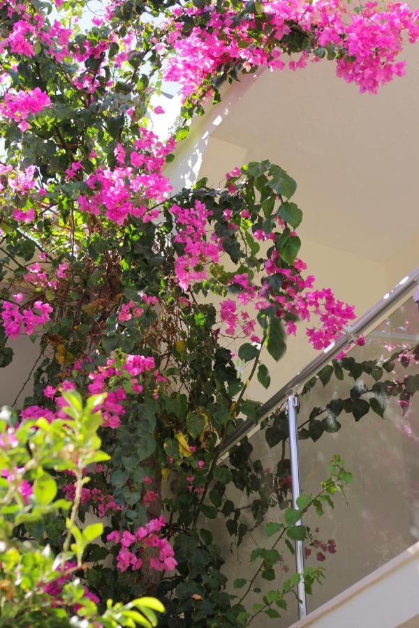 Acelya Otel Bodrum Zewnętrze zdjęcie