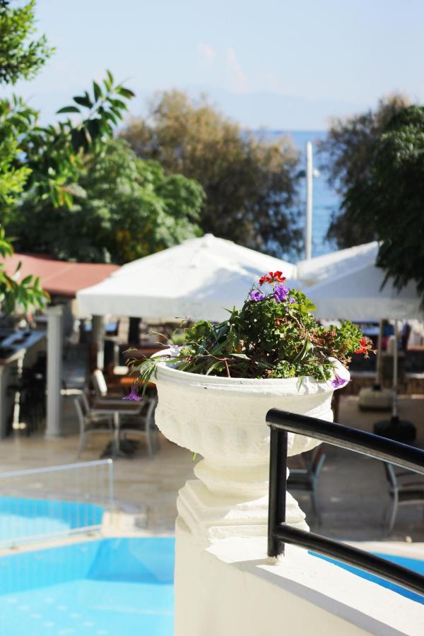 Acelya Otel Bodrum Zewnętrze zdjęcie